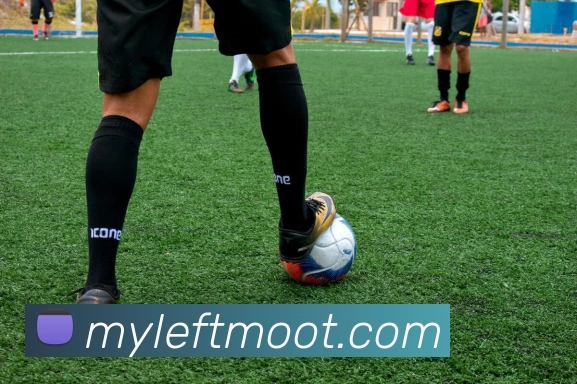 App Interface Preview